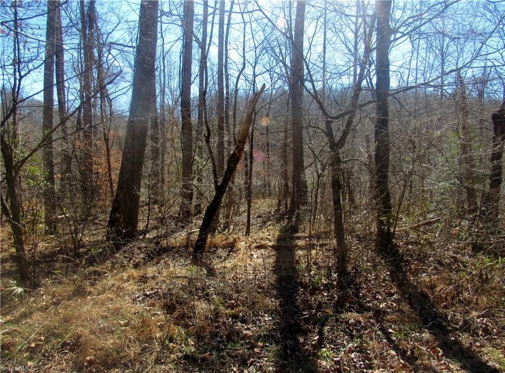 J K L Gentry Road Danbury, NC 27016 - Photo 4 of 9 Gallery Image 4