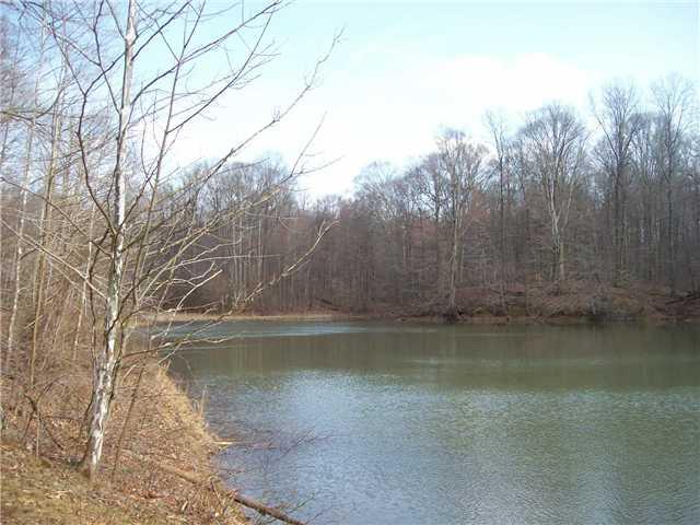 0 Locust Lake Road Spencer, IN 47460 - Photo 2 of 7 Gallery Image 2