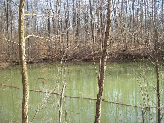 0 Locust Lake Road Spencer, IN 47460 - Photo 3 of 7 Gallery Image 3