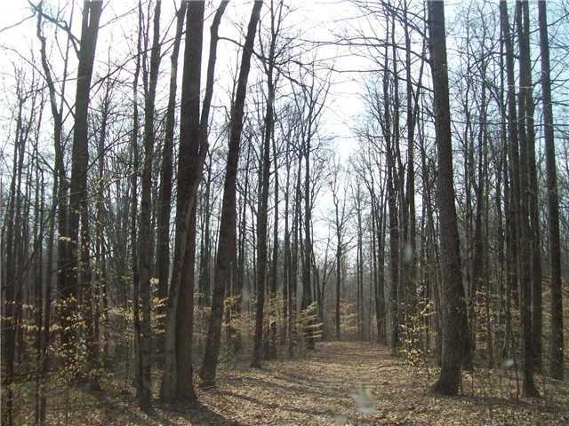 0 Locust Lake Road Spencer, IN 47460 - Photo 4 of 7 Gallery Image 4