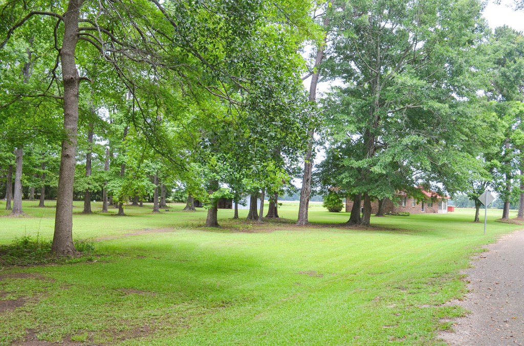 225 Royce Lane Dothan, AL 36305 - Photo 27 of 31