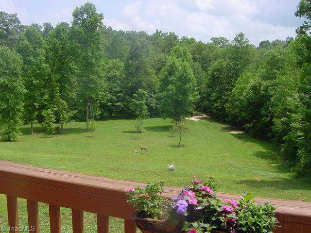 1211 Stevens Road Westfield, NC 27053 - Photo 9 of 9 Other. Huge open area in back for deer and turkey watching!!