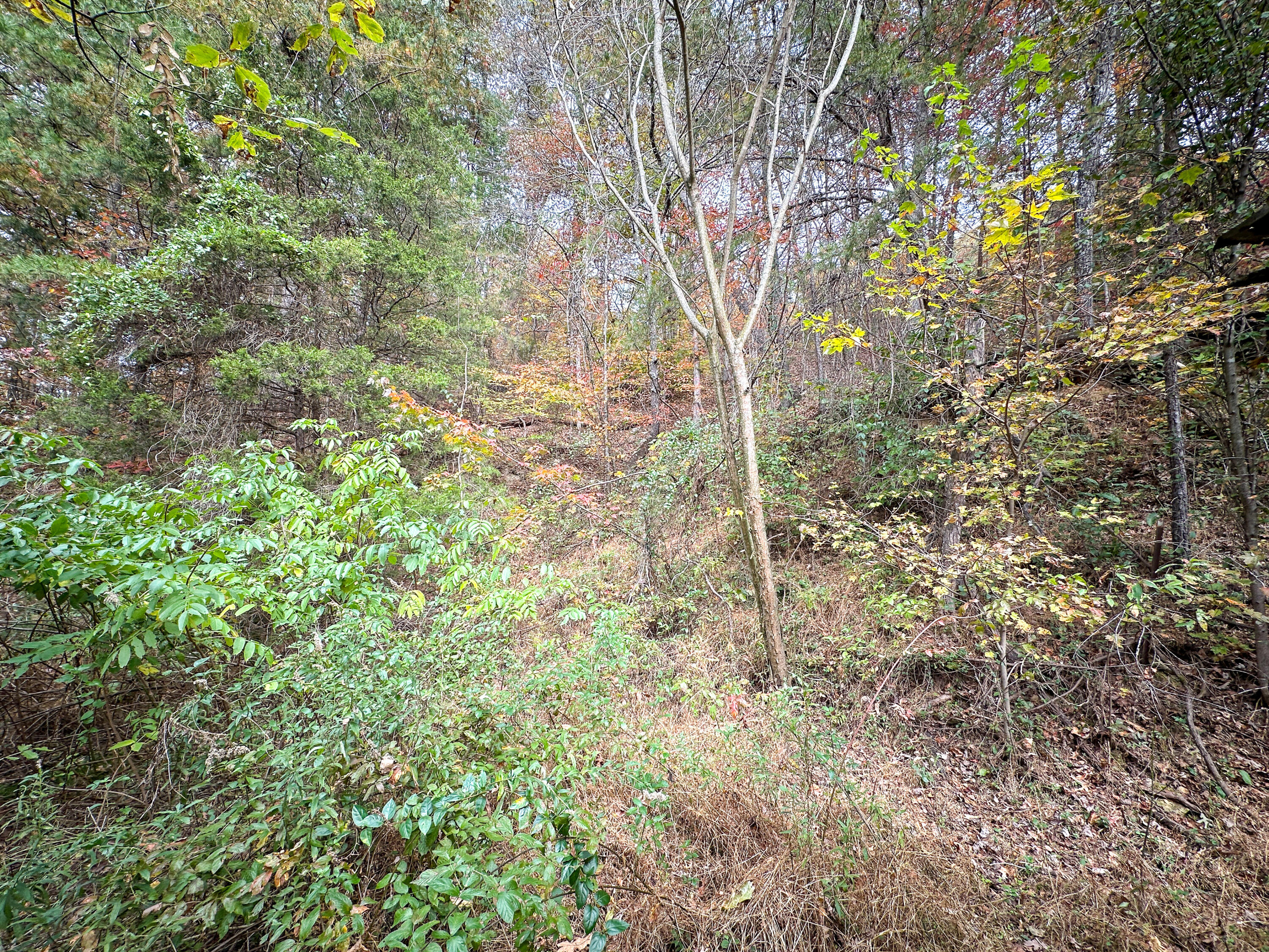 999 South Wilderness Road Mount Vernon, KY 40456 - Photo 14 of 19 Photo Oct 26 2025, 1 17 03 PM