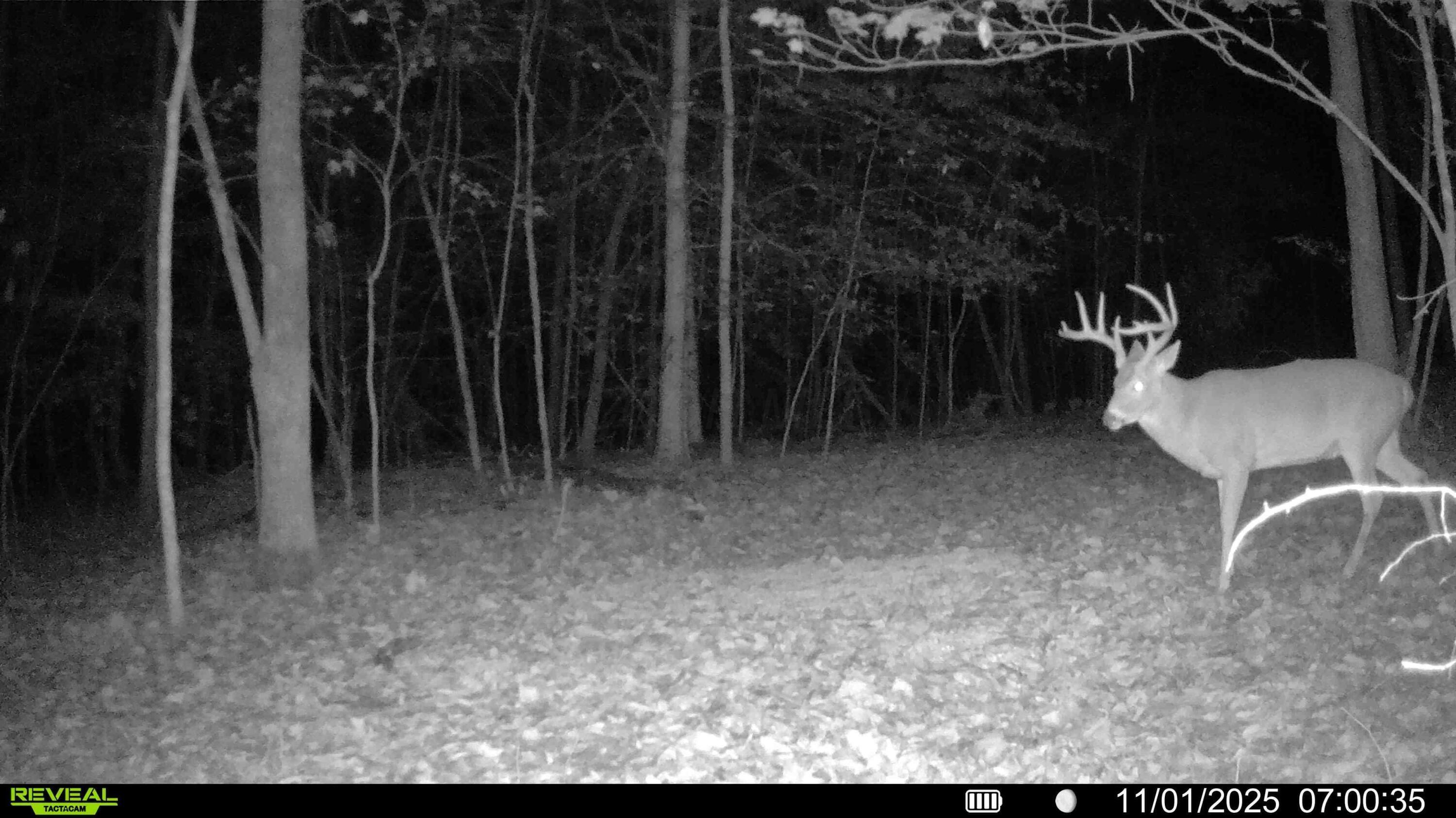 33341 Flat Run Road McArthur, OH 45651 - Photo 39 of 41 016578004188436-100-3-11012025083642-HD-