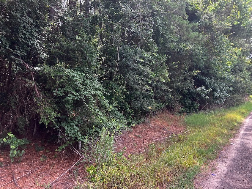 0 Caney Creek Road Vidor, TX 77662 - Photo 2 of 2