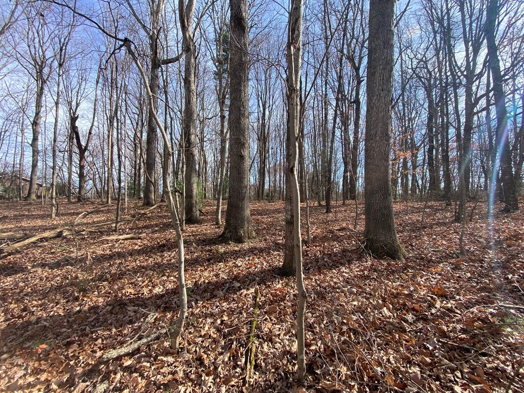 Lot 5 Ivanhoe Road, Unit 5 Fries, VA 24330 - Photo 4 of 6 Gallery Image 4
