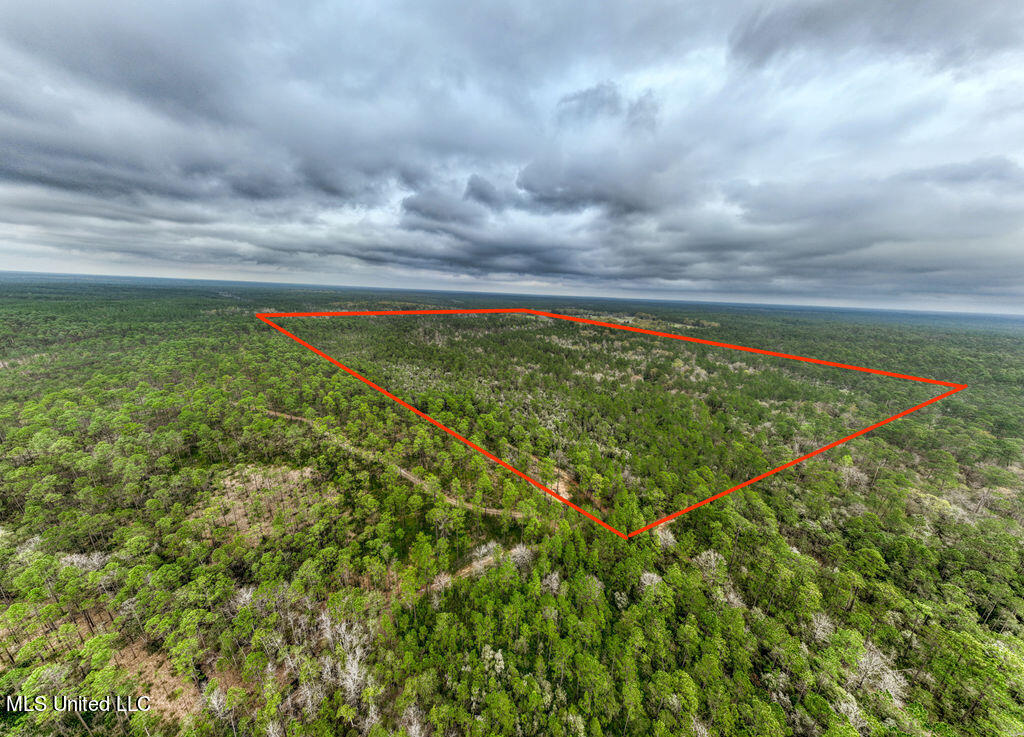 15429 Indian Fork Road Vancleave, MS 39565 - Photo 59 of 63 Arial of Land