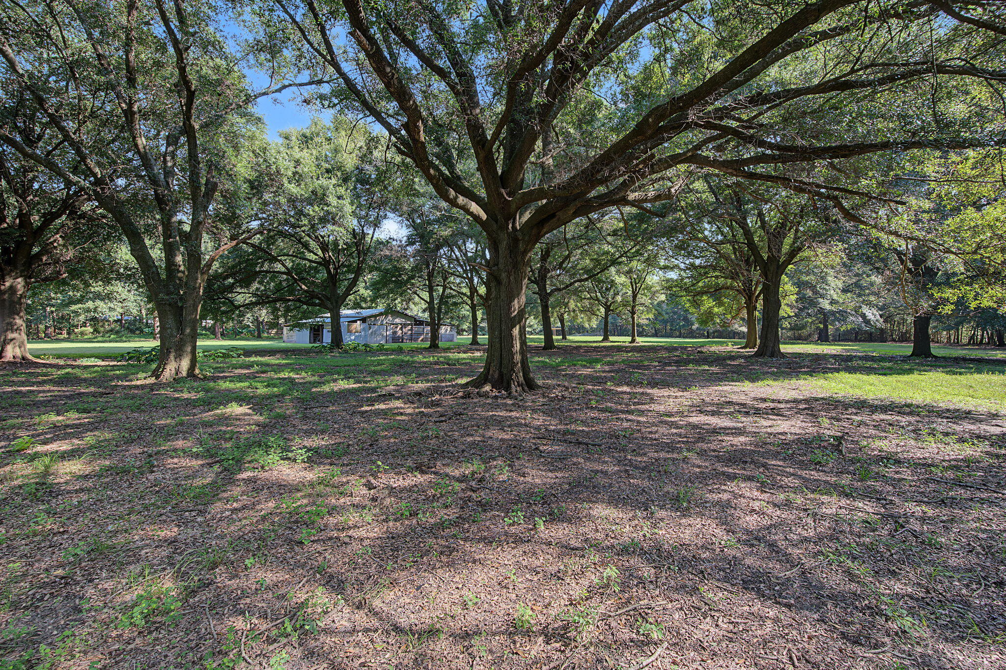 12400 Wildlife Road Holt, FL 32564 - Photo 42 of 58 37-web-or-mls-12400-wildlife-rd