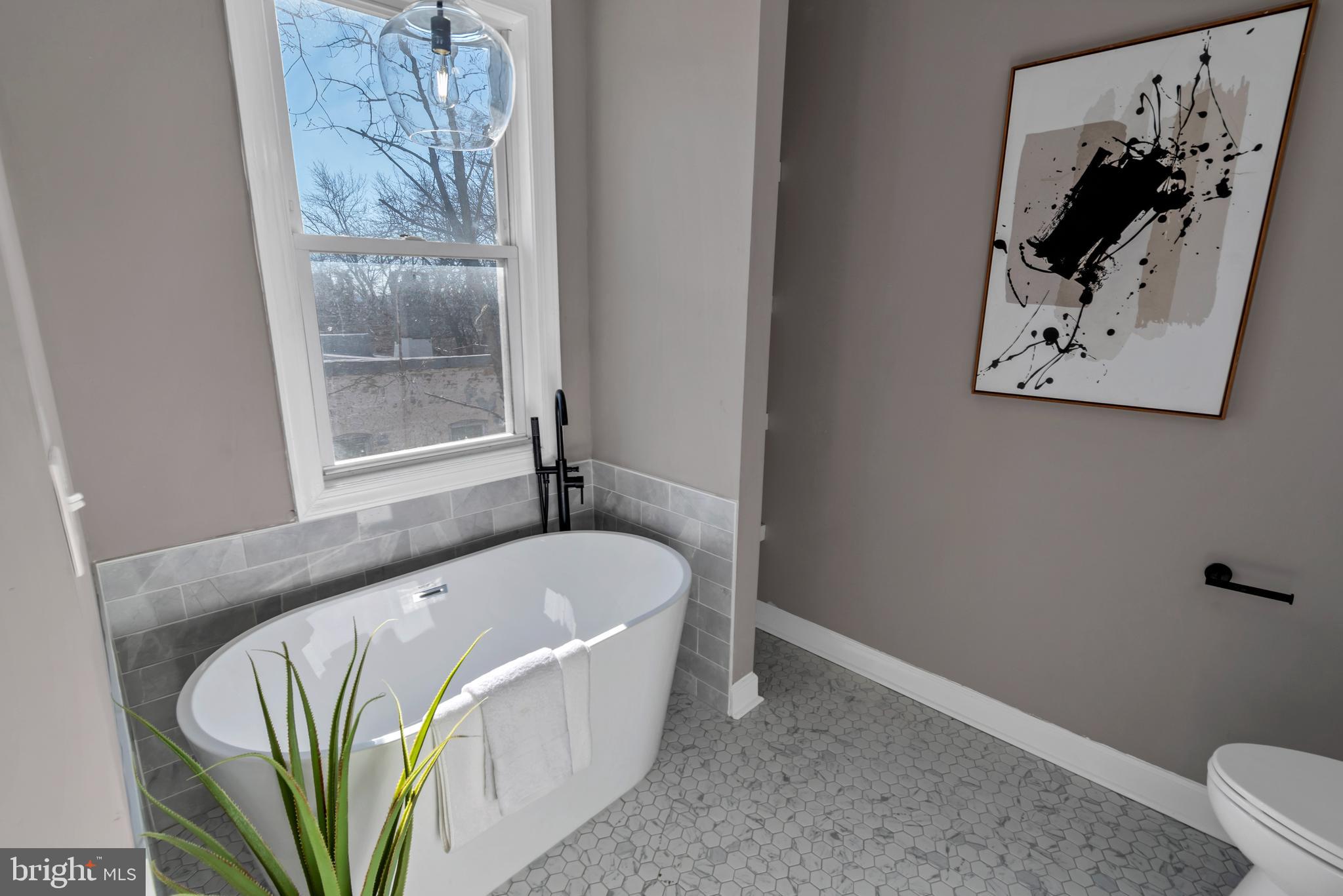 12 South Augusta Avenue Baltimore, MD 21229 - Photo 36 of 38 a bathroom with a bathtub and a plant
