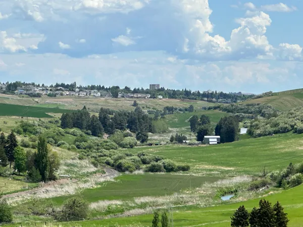 $1,475,000 | 7-xx South Armstrong Road, Pullman, WA 99163