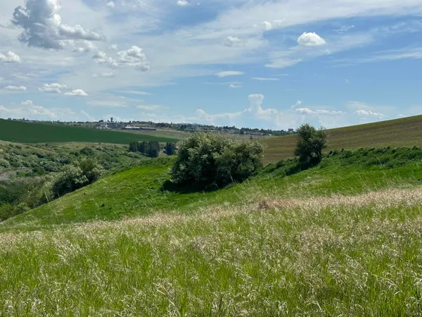$1,475,000 | 7-xx South Armstrong Road, Pullman, WA 99163