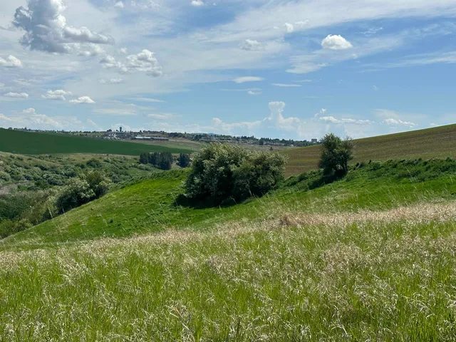 $1,475,000 | 7-xx South Armstrong Road, Pullman, WA 99163