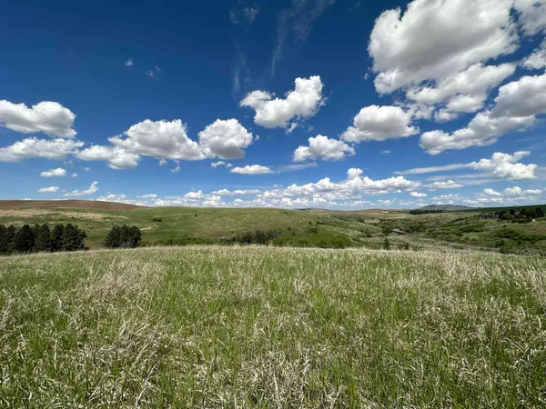 $1,475,000 | 7-xx South Armstrong Road, Pullman, WA 99163