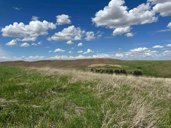 $1,475,000 | 7-xx South Armstrong Road, Pullman, WA 99163