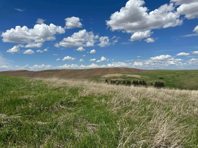 $1,475,000 | 7-xx South Armstrong Road, Pullman, WA 99163