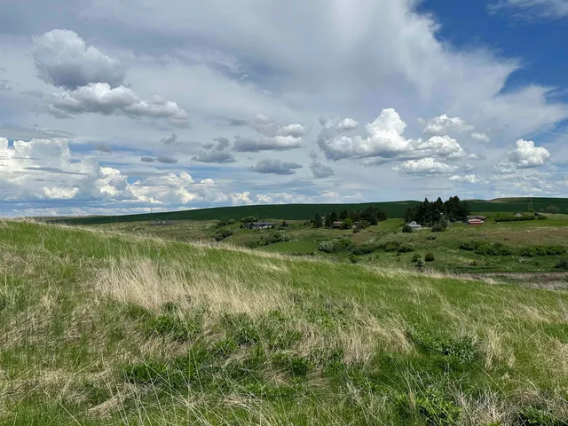 $1,475,000 | 7-xx South Armstrong Road, Pullman, WA 99163