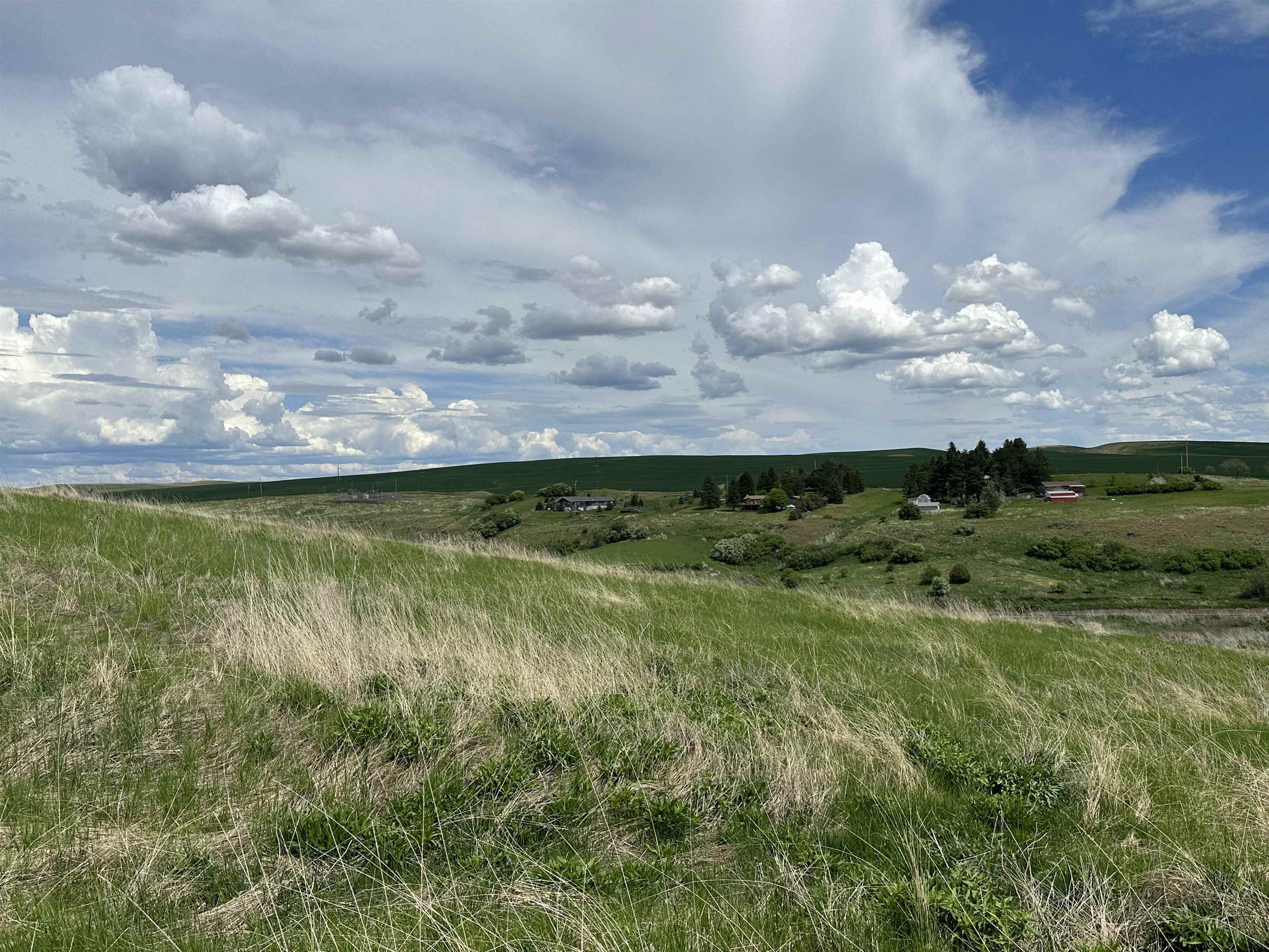 7-xx South Armstrong Road Pullman, WA 99163 - Photo 17 of 20