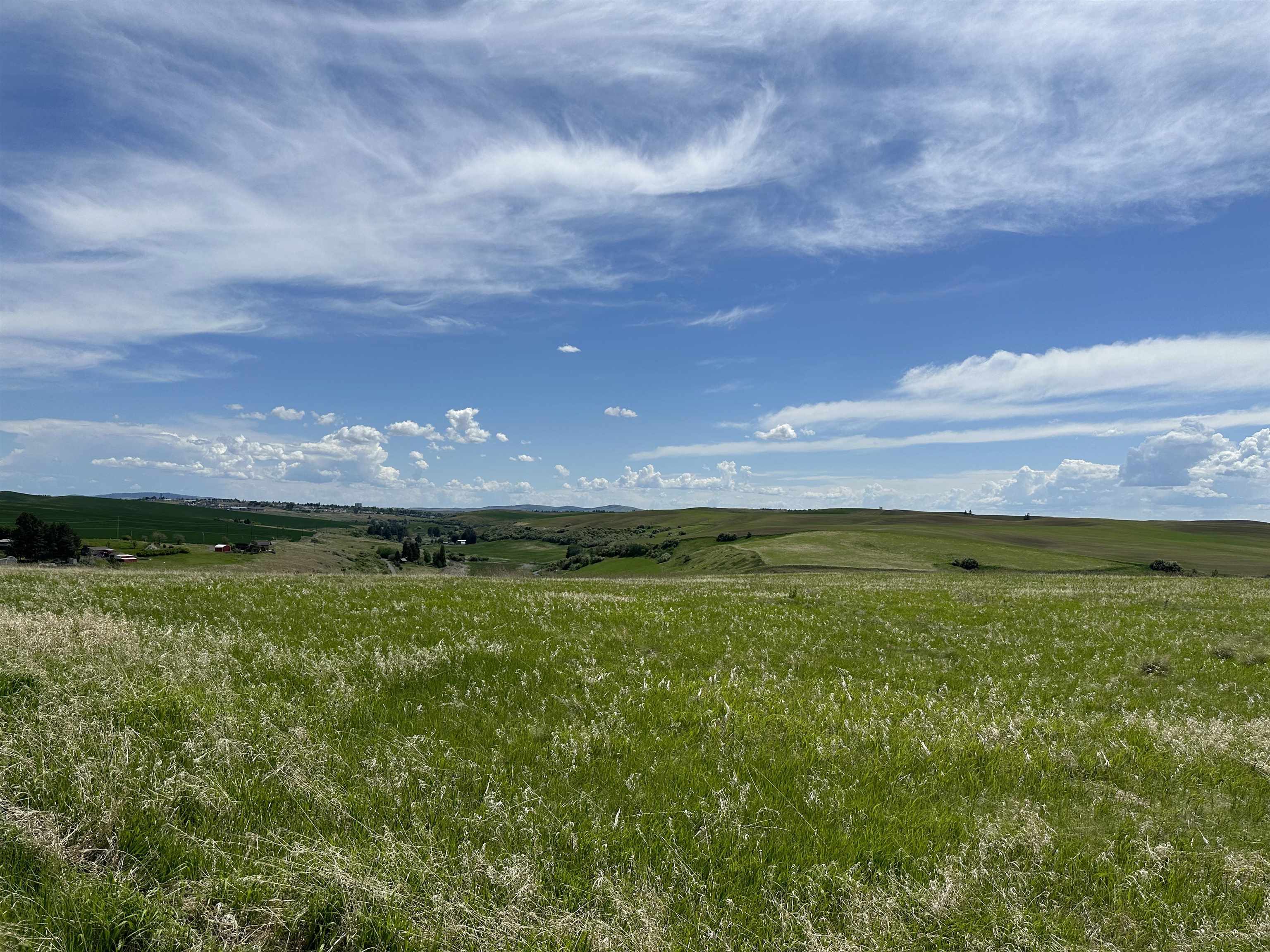 7-xx South Armstrong Road Pullman, WA 99163 - Photo 19 of 20