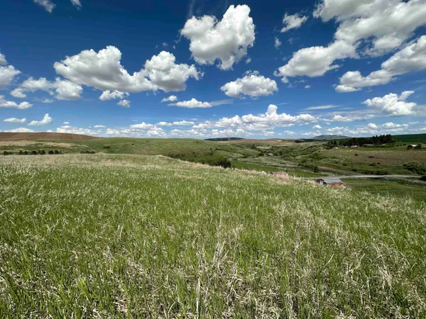 $1,475,000 | 7-xx South Armstrong Road, Pullman, WA 99163