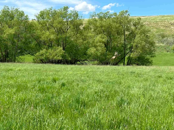 $1,475,000 | 7-xx South Armstrong Road, Pullman, WA 99163