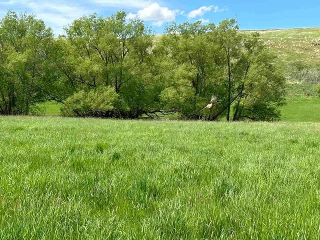 $1,475,000 | 7-xx South Armstrong Road, Pullman, WA 99163