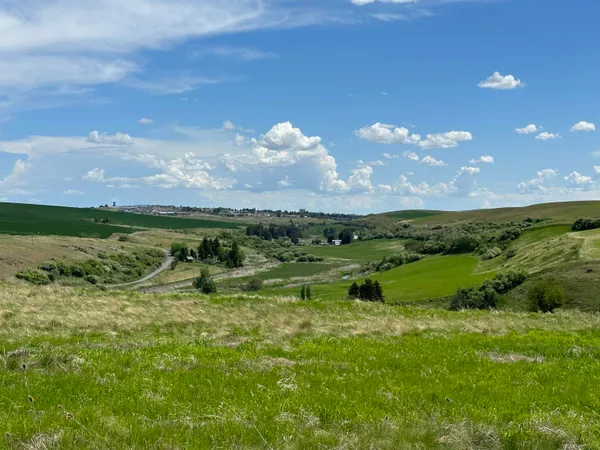 $1,475,000 | 7-xx South Armstrong Road, Pullman, WA 99163