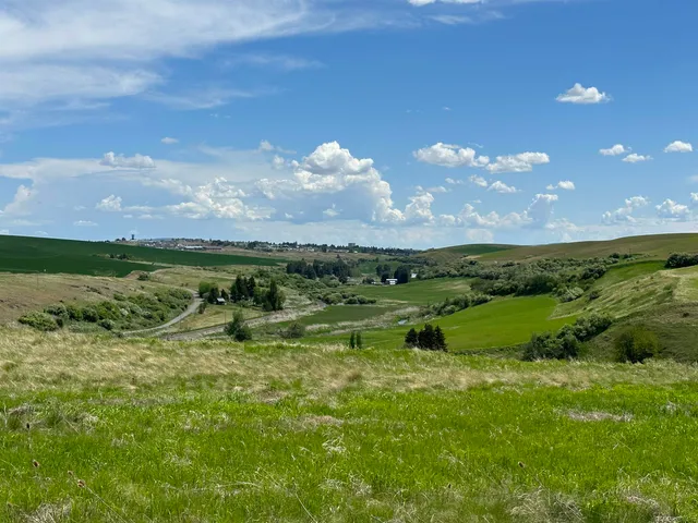 $1,475,000 | 7-xx South Armstrong Road, Pullman, WA 99163