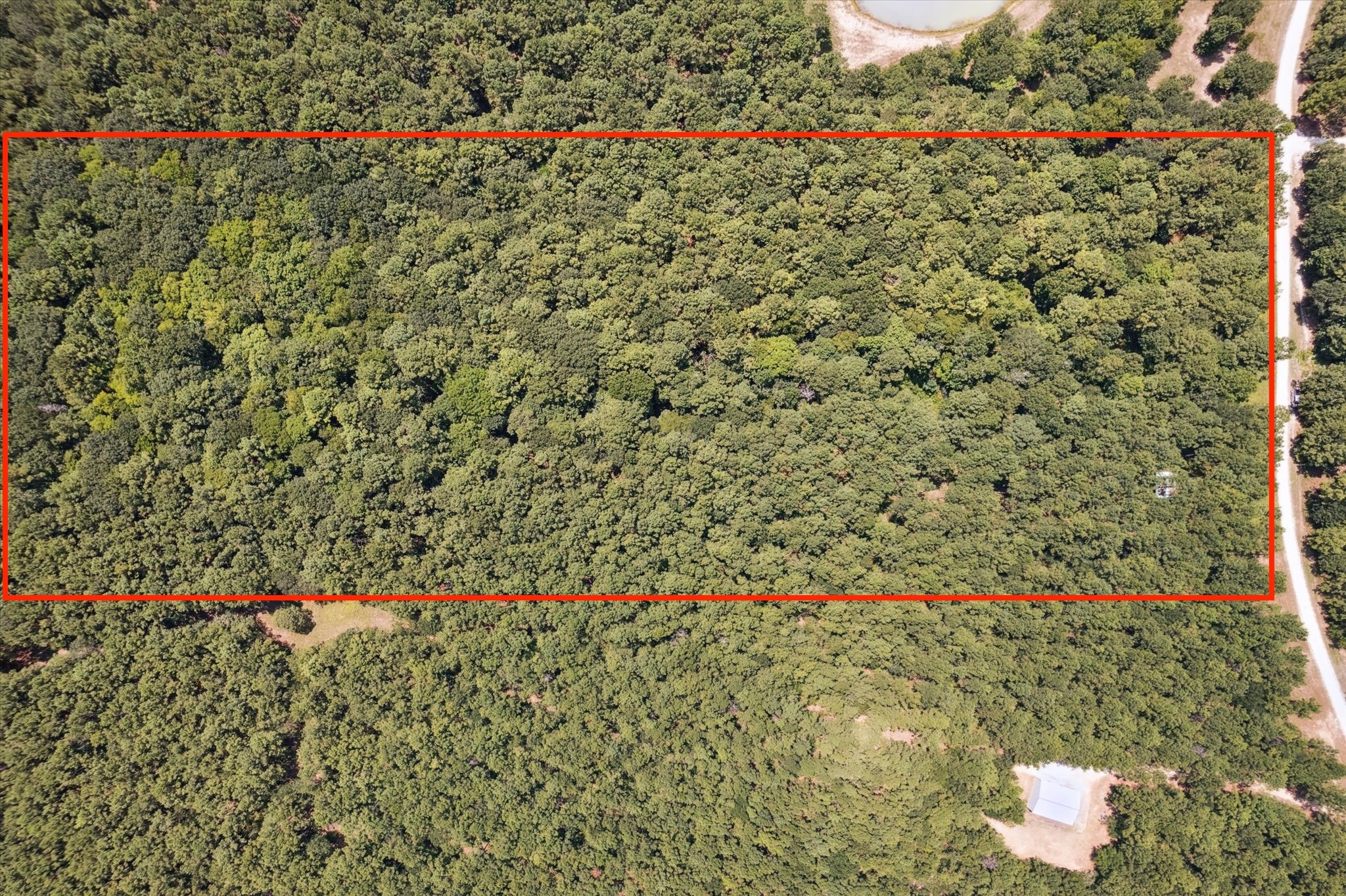 4970 Deep Forest Trail Navasota, TX 77868 - Photo 4 of 5