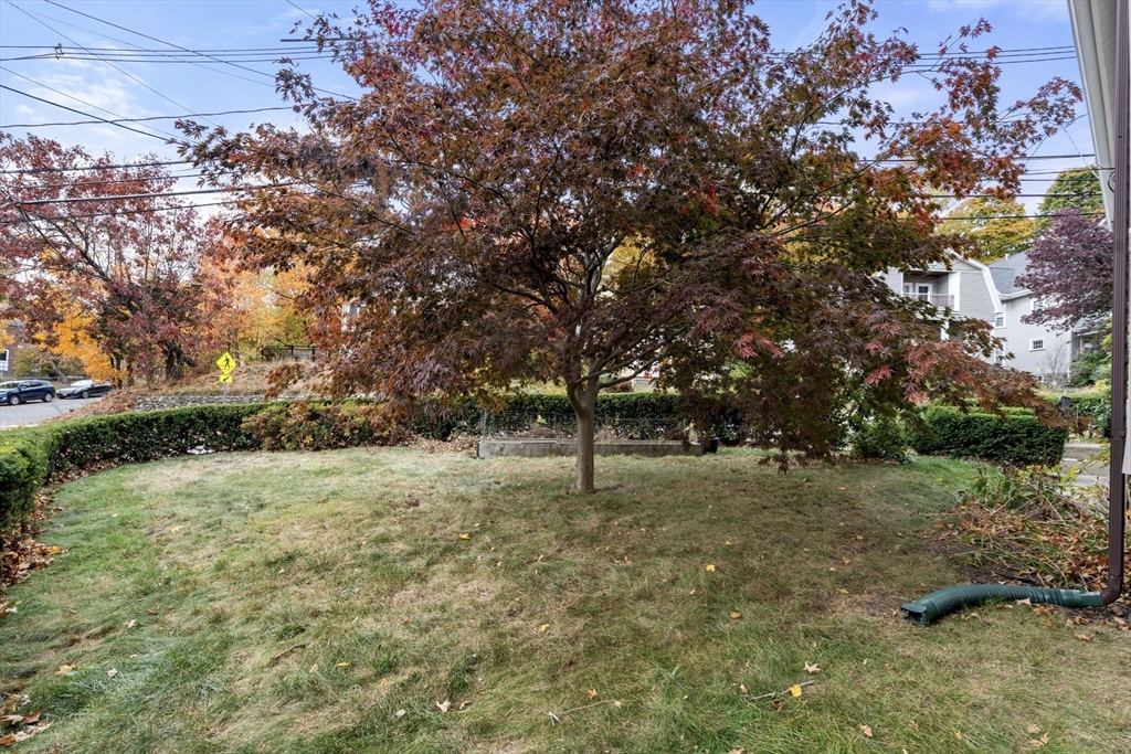 8 Elson Road Waltham, MA 02451 - Photo 27 of 36 Gallery Image 27