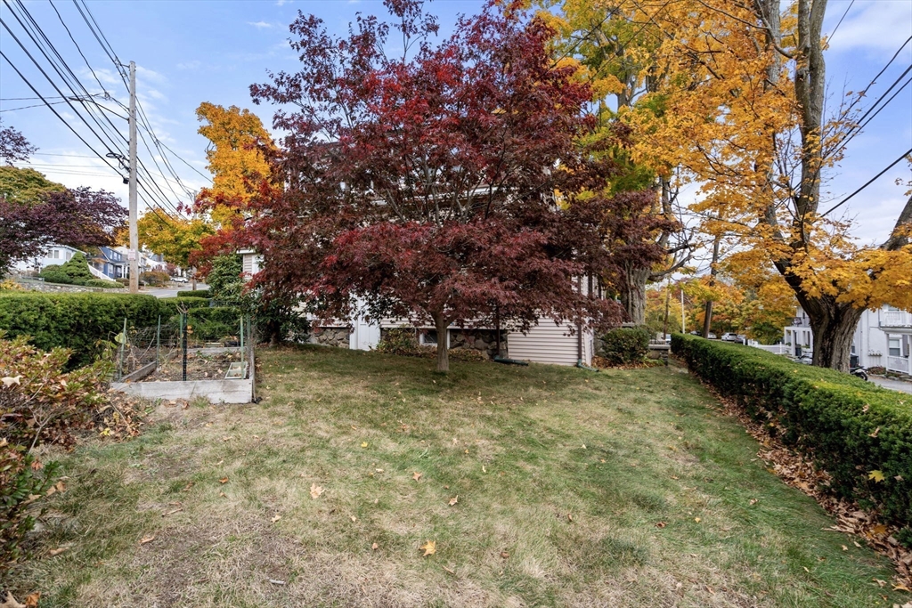 8 Elson Road Waltham, MA 02451 - Photo 28 of 36 Gallery Image 28