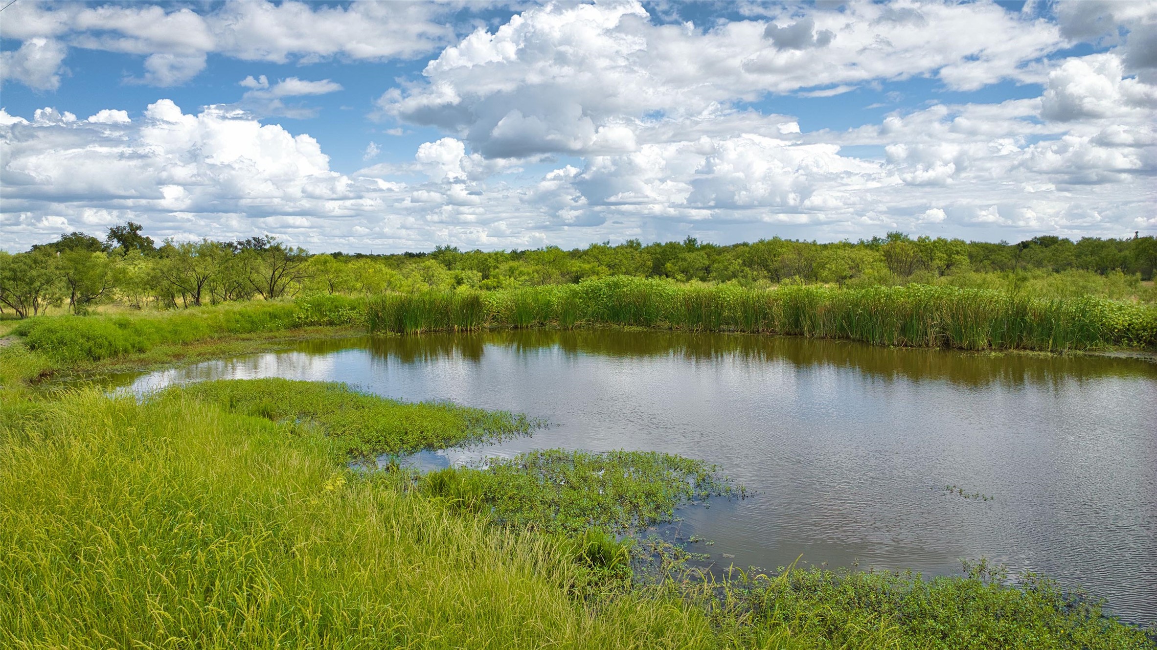 12119 Highway 29 Llano, TX 78643 - Photo 15 of 40 Water view featuring a heavily wooded area