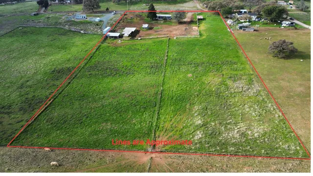 a view of a park with large trees
