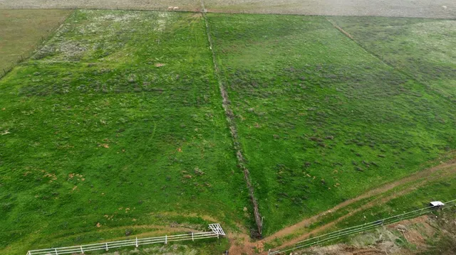 a view of a yard from a balcony