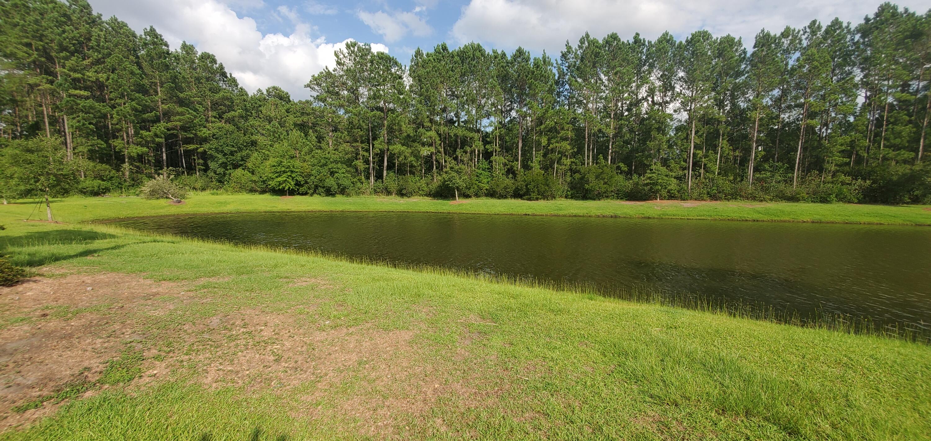 269 Decatur Drive Summerville, SC 29486 - Photo 25 of 28 Backyard View