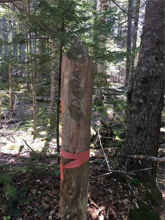 Lot 3-1 Ripley Road Harrington, ME 04643 - Photo 18 of 18 Photo