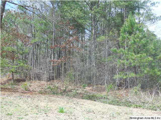 0 Rainbow Ridge Road, Unit 30 ACRES Anniston, AL 36207 - Photo 6 of 12