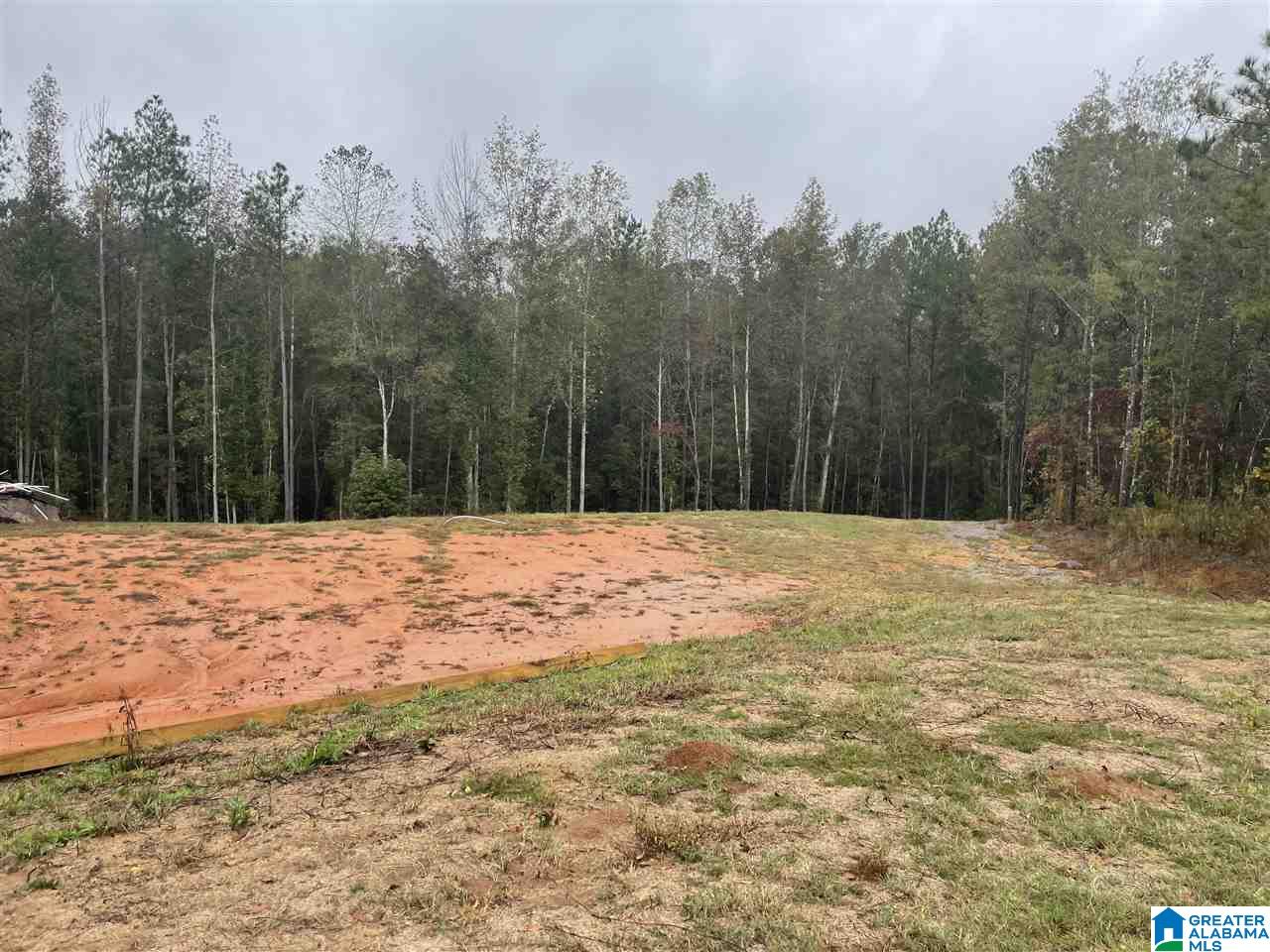 60 County Road 985 Jemison, AL 35085 - Photo 2 of 3