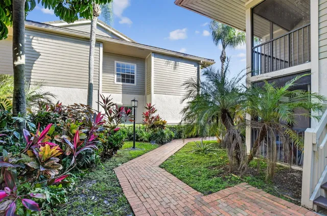 a view of yard with plants