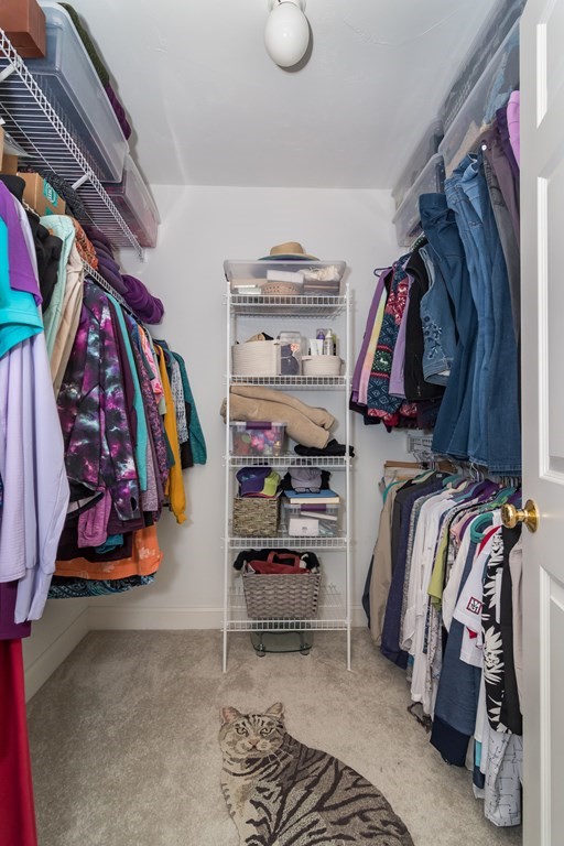 28 Prestwick Road, Unit 188 Bourne, MA 02532 - Photo 17 of 41 a view of walk in closet with clothes and shoes