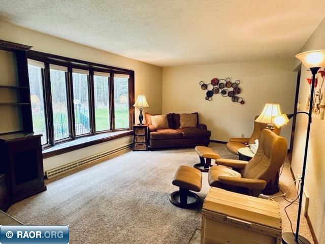 4566 Bass Lake Road Gilbert, MN 55741 - Photo 6 of 34