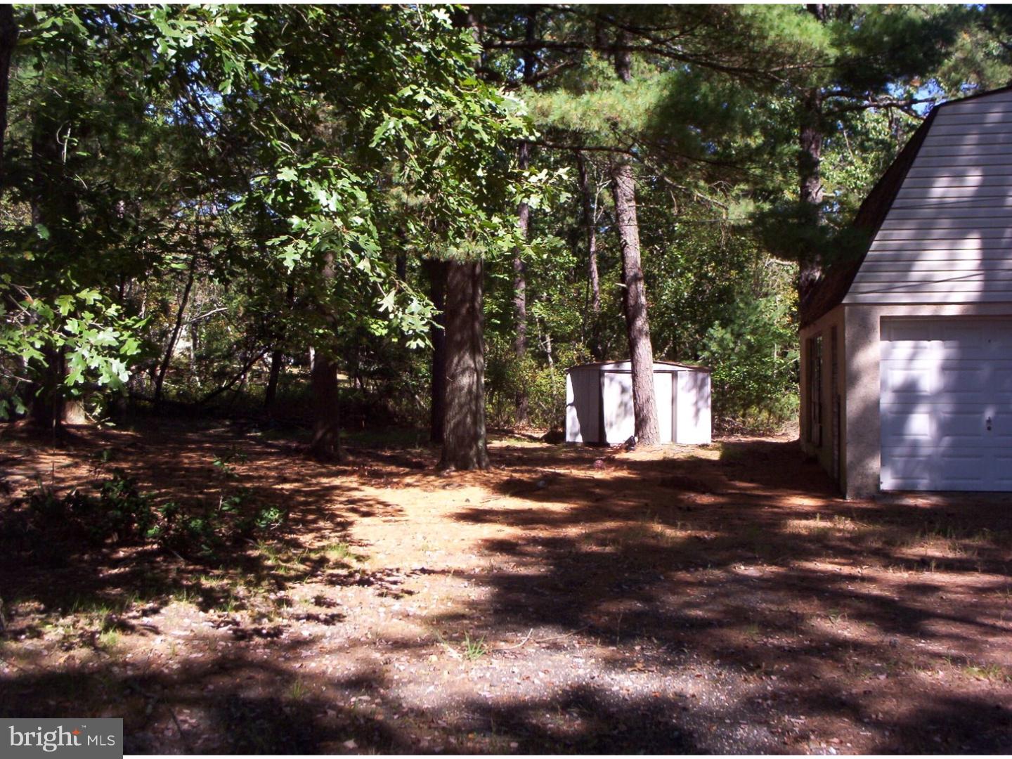 227 Ridge Road Browns Mills, NJ 08015 - Photo 16 of 17 a view of a yard with plants and trees