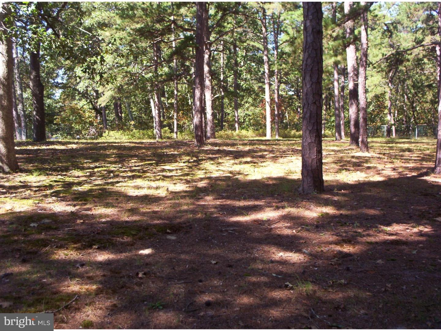 227 Ridge Road Browns Mills, NJ 08015 - Photo 17 of 17 a view of outdoor space with trees