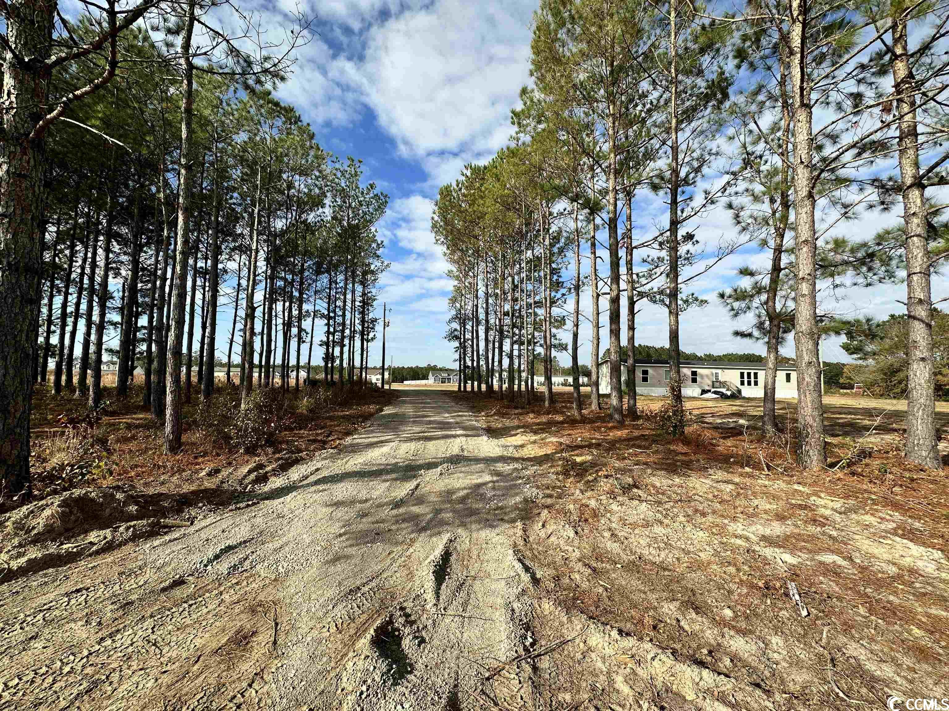 4190 Double Dee Road Aynor, SC 29511 - Photo 2 of 5 Gallery Image 2