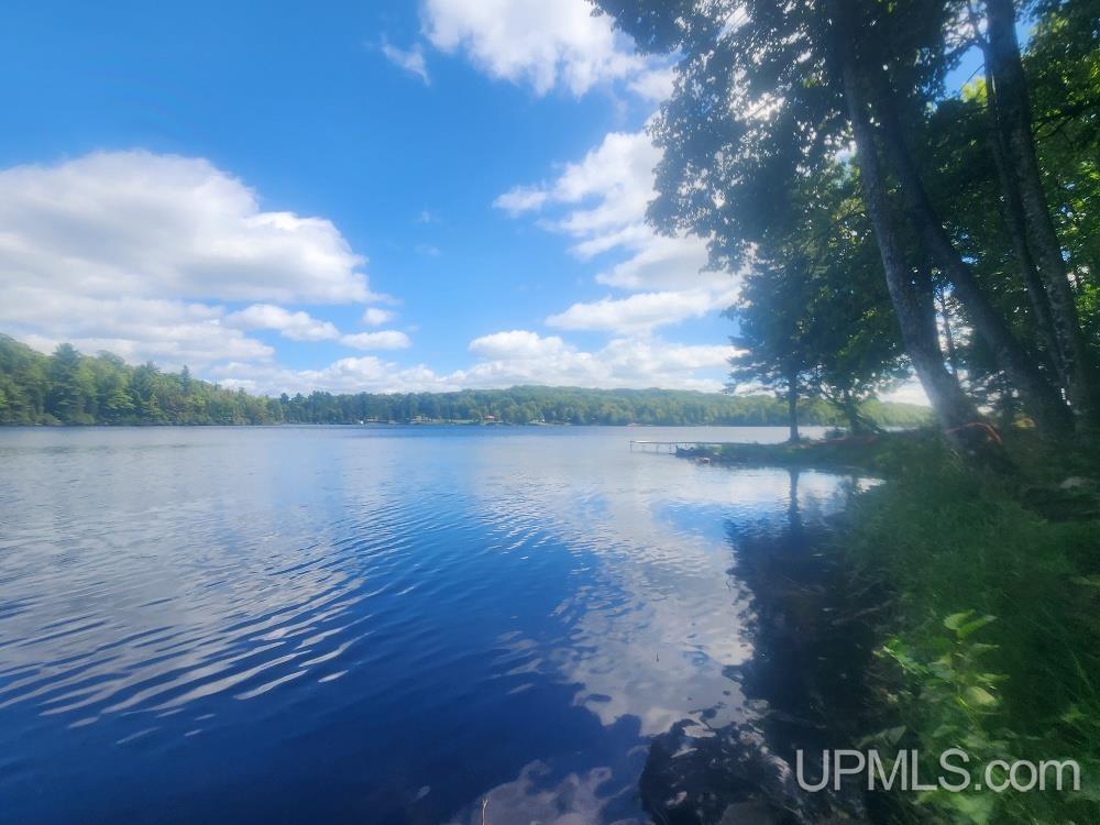 Tbd West Tamarack Lake Road, Unit LOT 5 Watersmeet, MI 49969 - Photo 35 of 66
