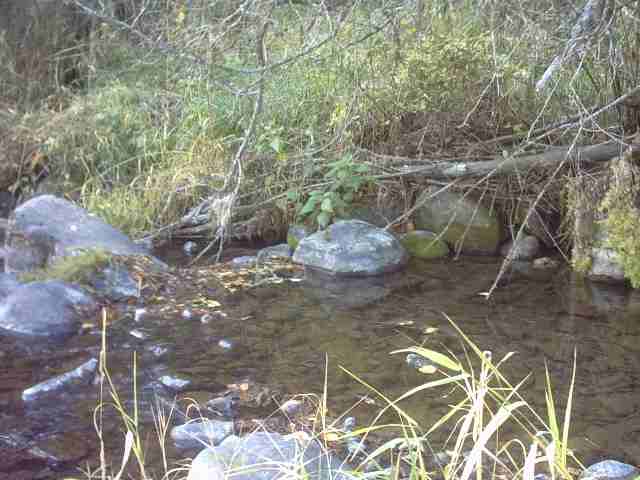 4360 Cemetery Road Springdale, WA 99173 - Photo 1 of 9