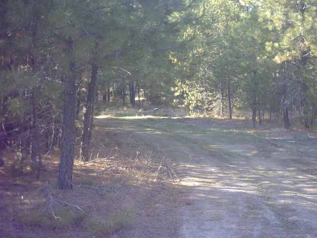 4360 Cemetery Road Springdale, WA 99173 - Photo 2 of 9