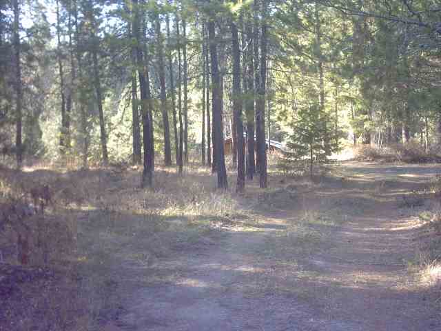 4360 Cemetery Road Springdale, WA 99173 - Photo 3 of 9