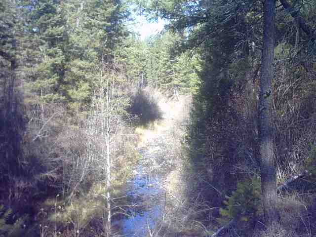 4360 Cemetery Road Springdale, WA 99173 - Photo 4 of 9