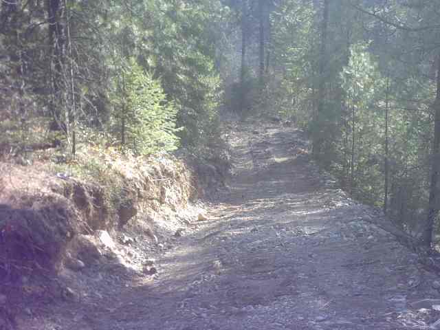 4360 Cemetery Road Springdale, WA 99173 - Photo 6 of 9