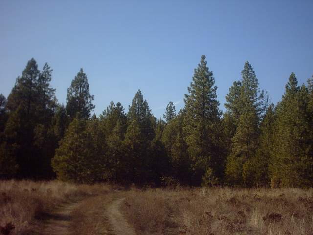 4360 Cemetery Road Springdale, WA 99173 - Photo 8 of 9
